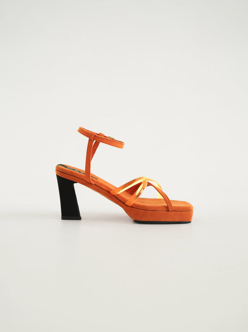 Apricot - Orange