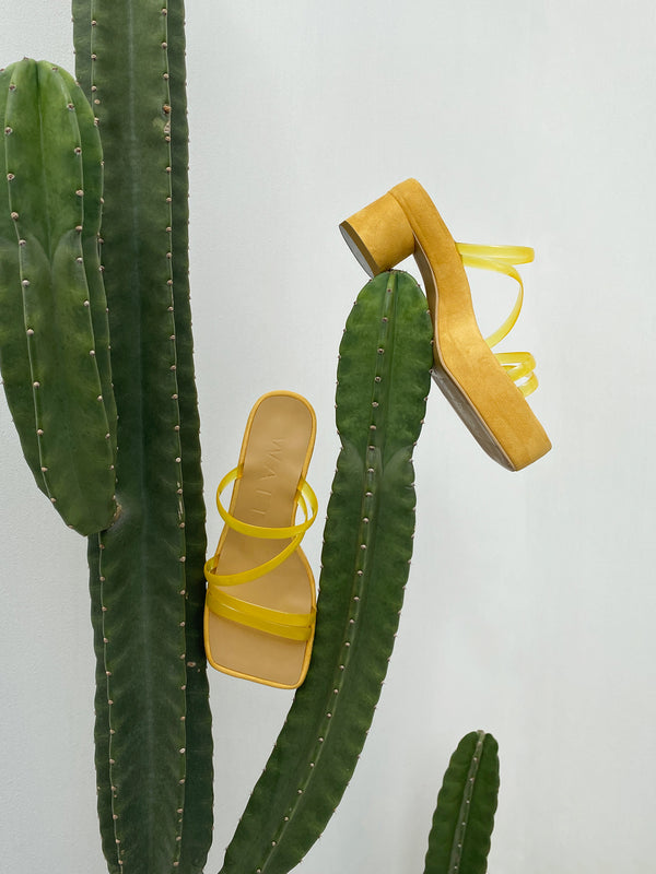 CITRUS - YELLOW