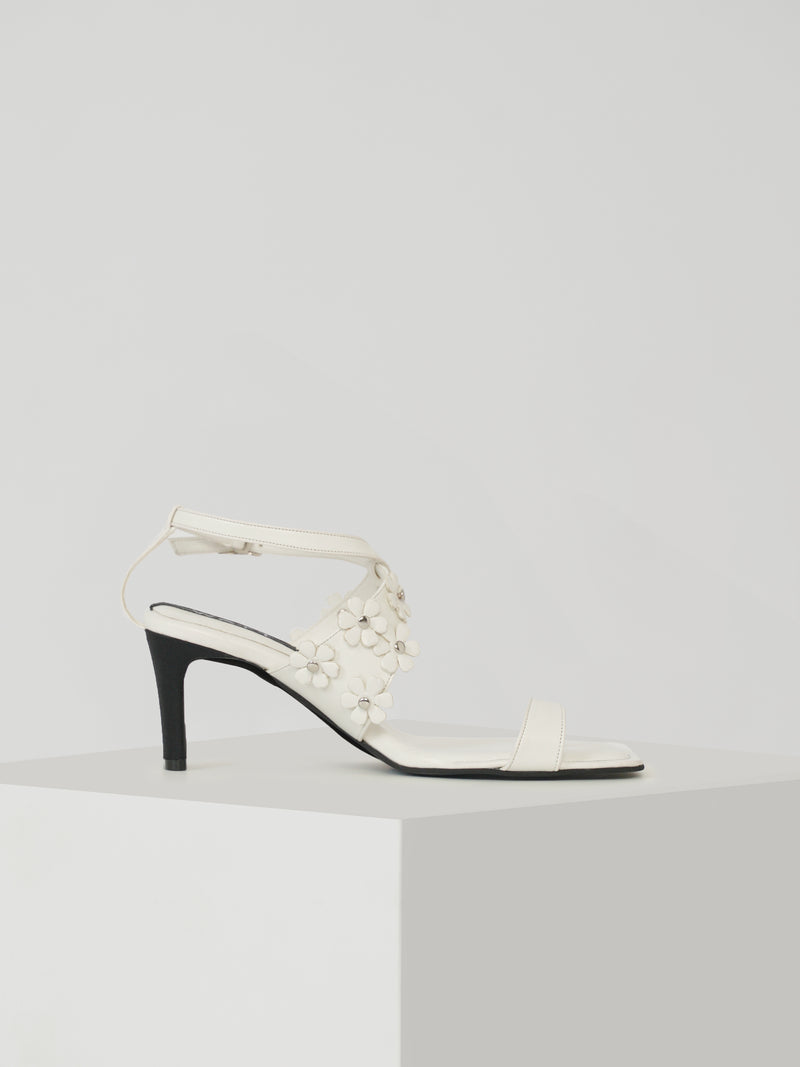 Cosmos - White