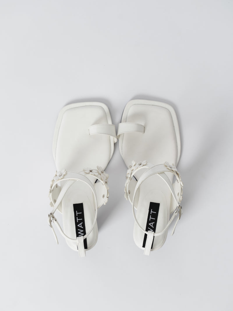 Cosmos - White
