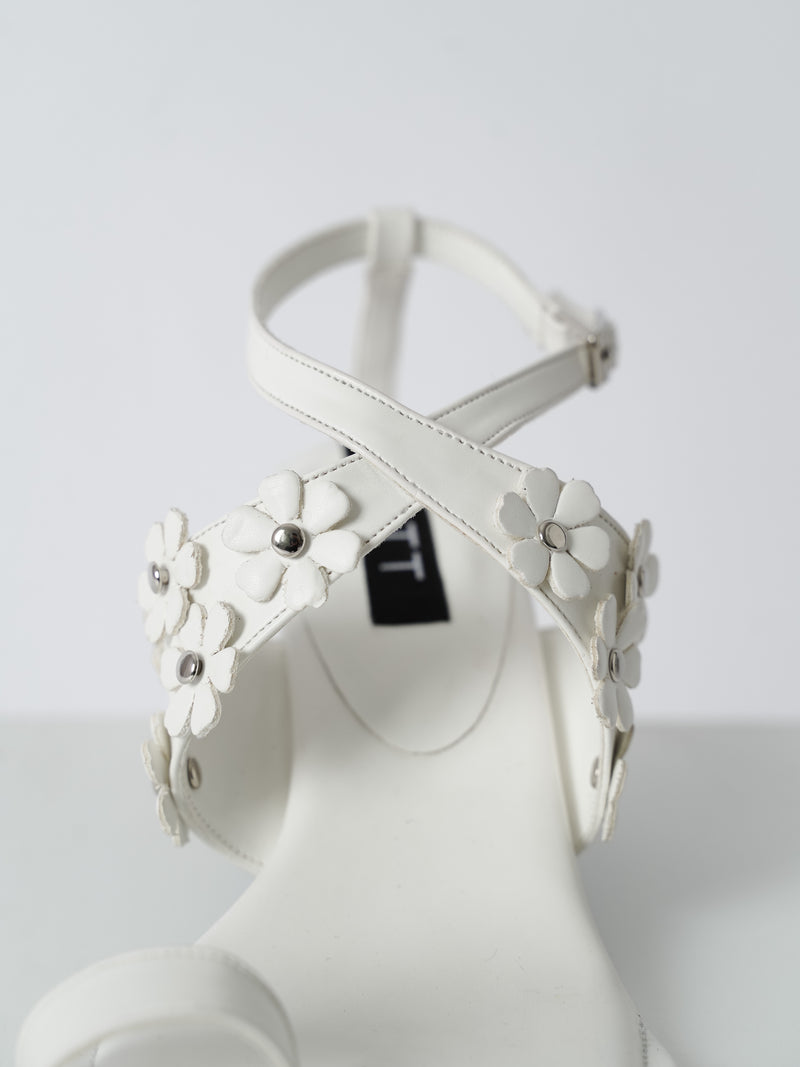 Cosmos - White